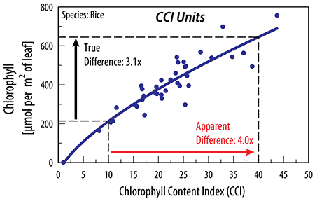 CCI index