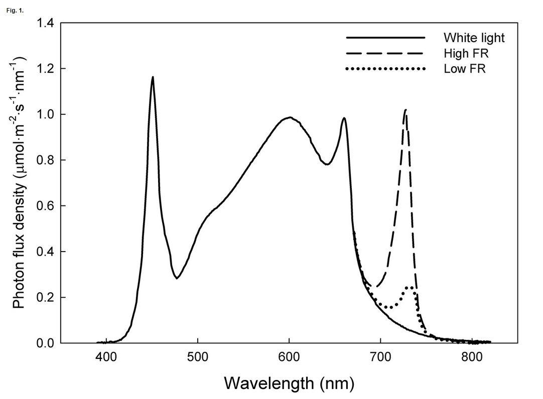 Spectral distribution of white light-emitting diode (LED) bars with added low or high amounts of far-red FR light