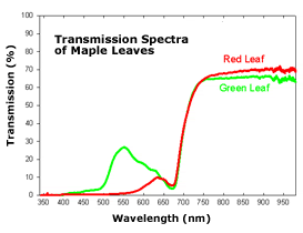 Transmission spectra of maple leaves graph