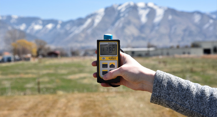 MQ-501: Handheld Full-spectrum Quantum Meter - Apogee Instruments