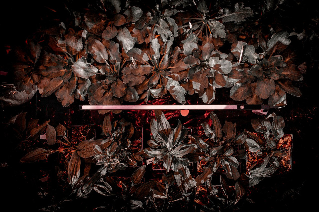 MQ-350 PAR Bar Meter