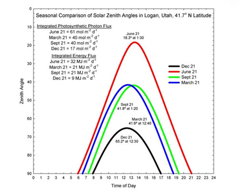 Daily Light Integral: Measuring Light for Plants