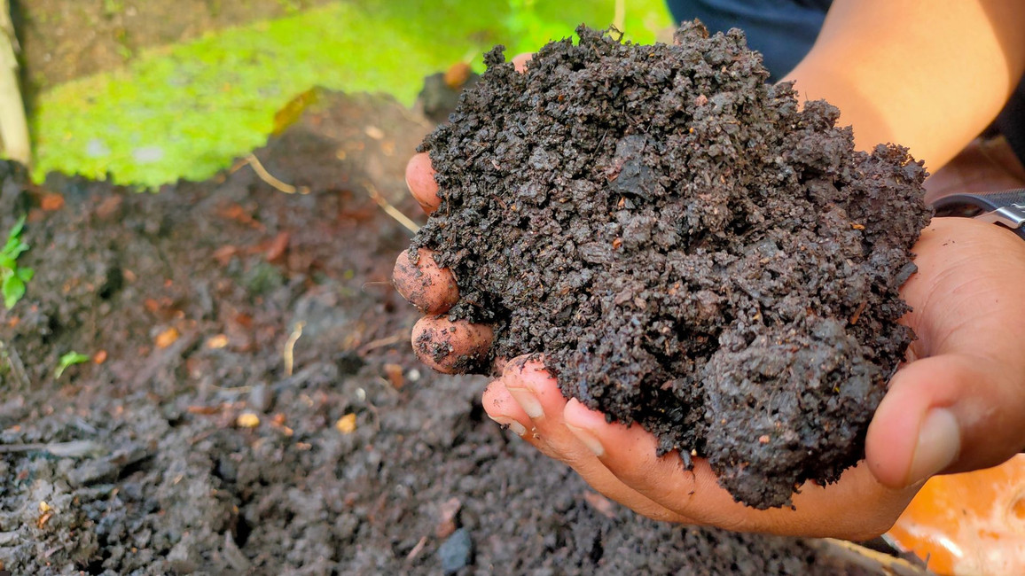 Is Peat Really Unsustainable? New Research Challenges the Narrative
