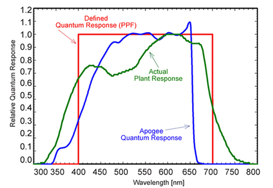 Comparisons in Quantum Sensor Output for Different Light Sources