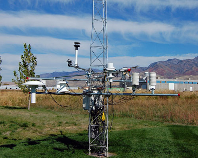 Minimizing Problems with Wasps on Weather Stations