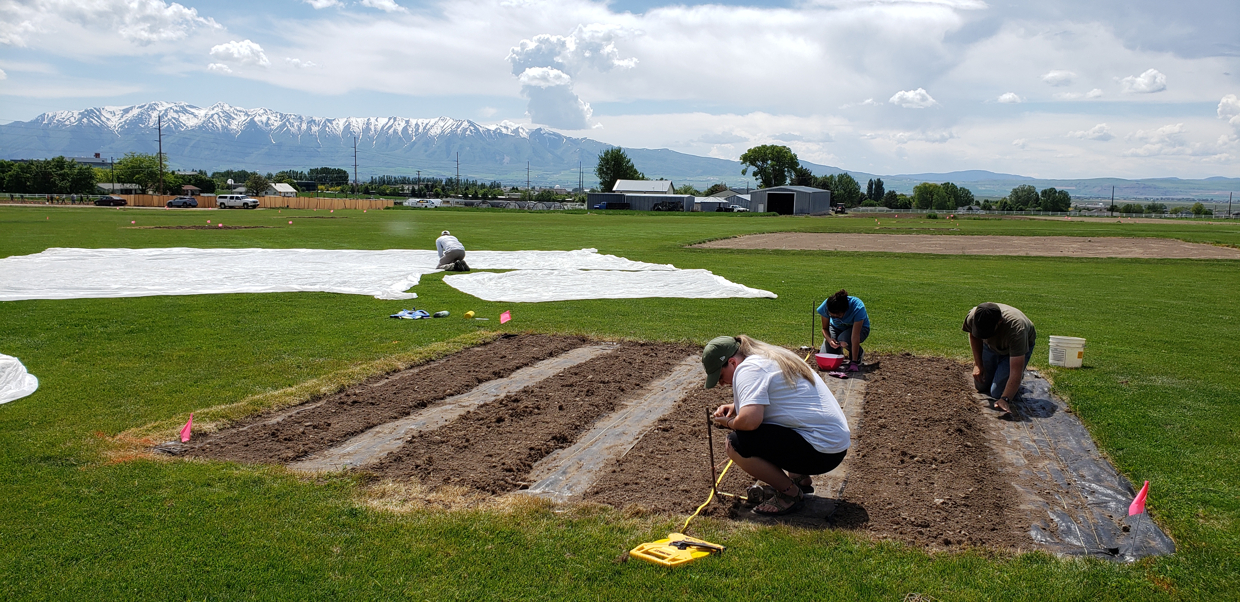 Setting up the plots