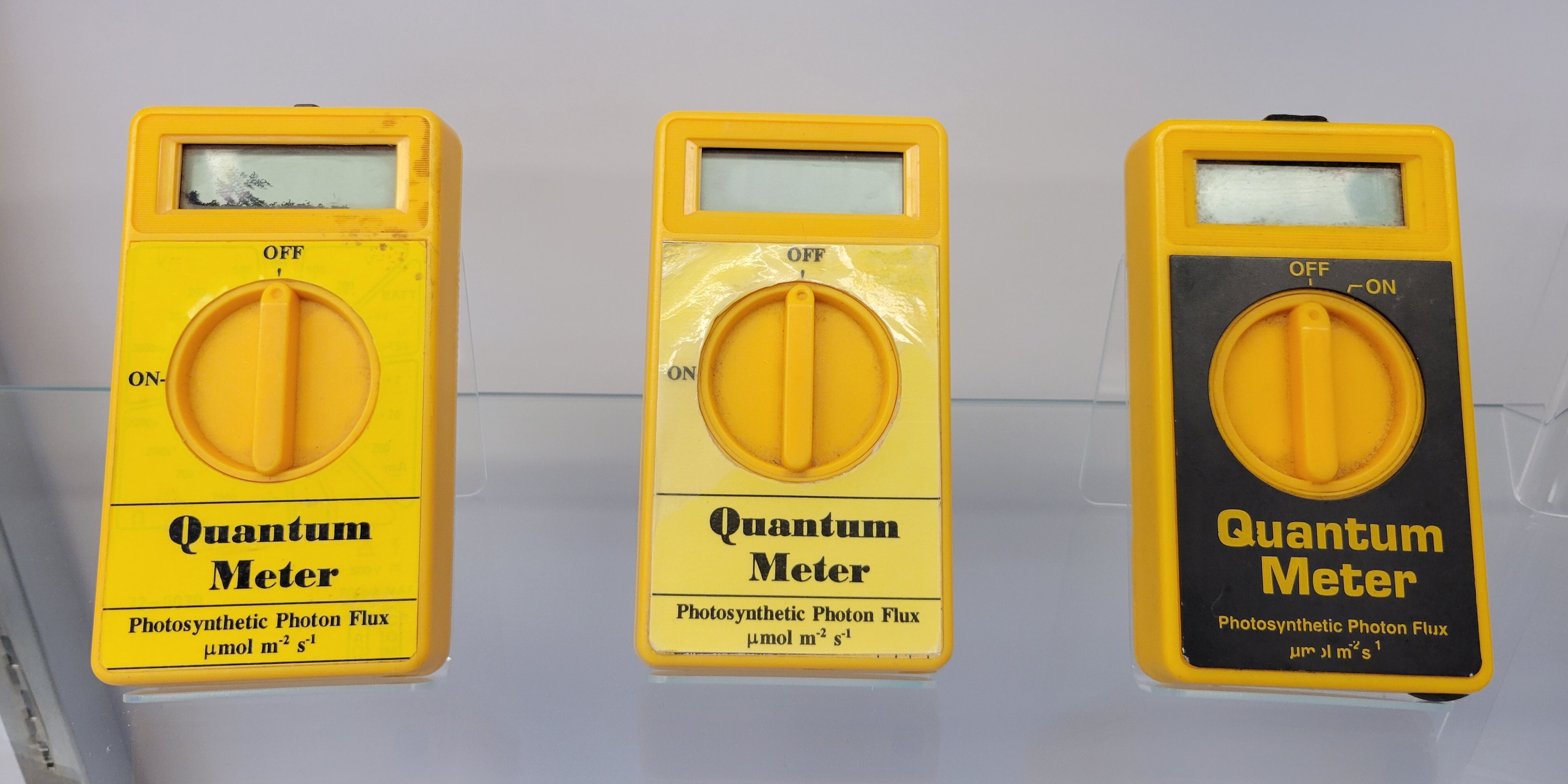 original-quantum-sensors-shorter.jpg