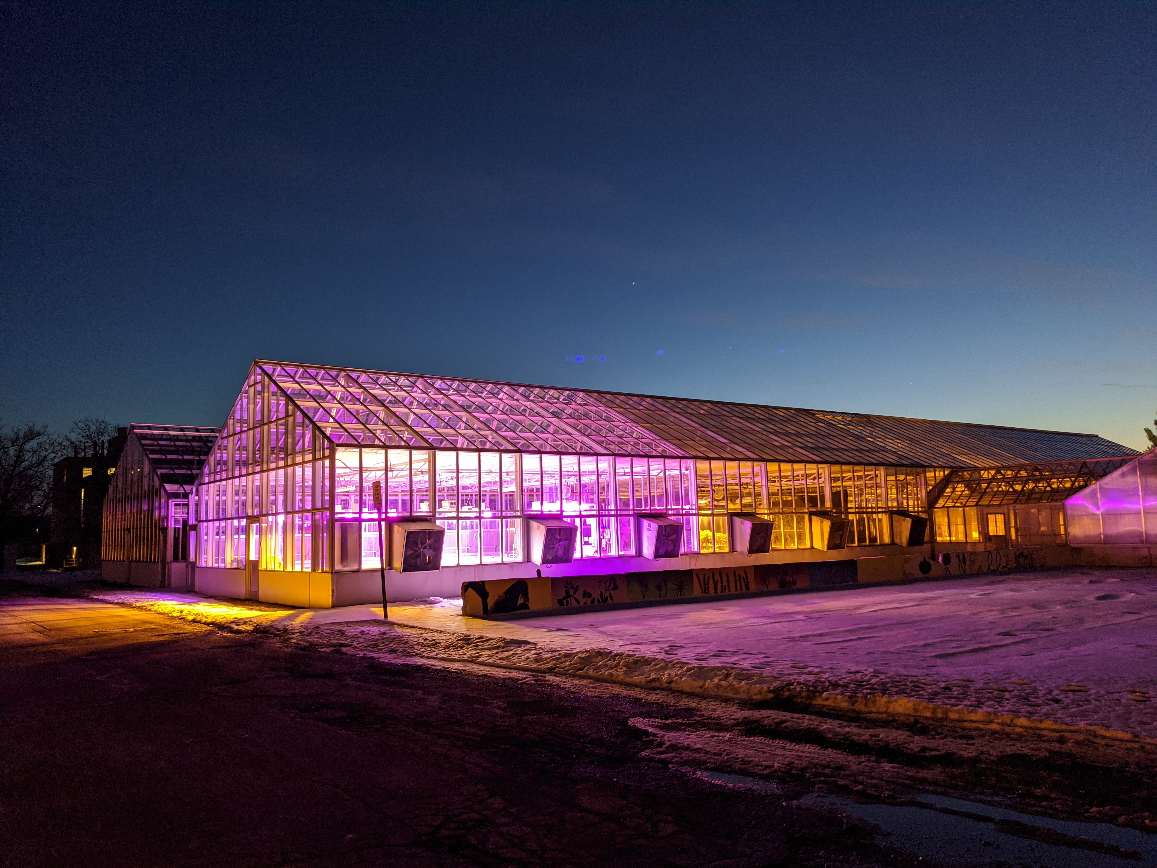 Outside Greenhouse Evening