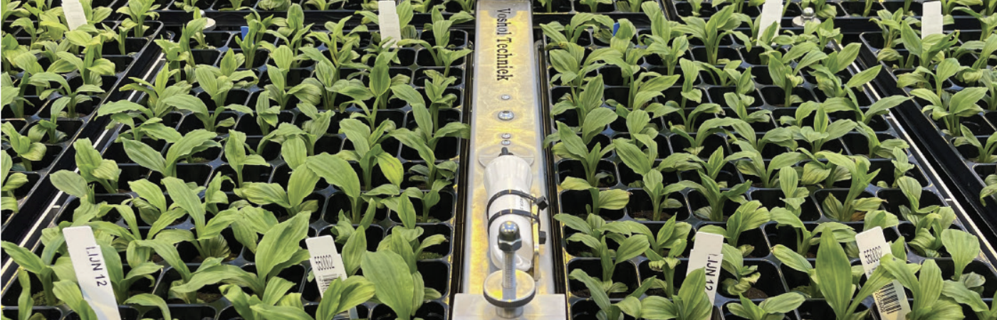 Greenhouse plants on a weighing tray with an Aranet transmitter mounted in the center