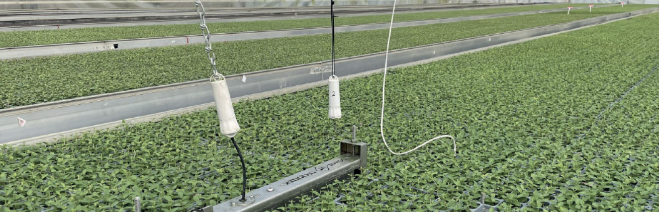 Aranet Transmitters and Sensors suspended over rows of greenhouse plants