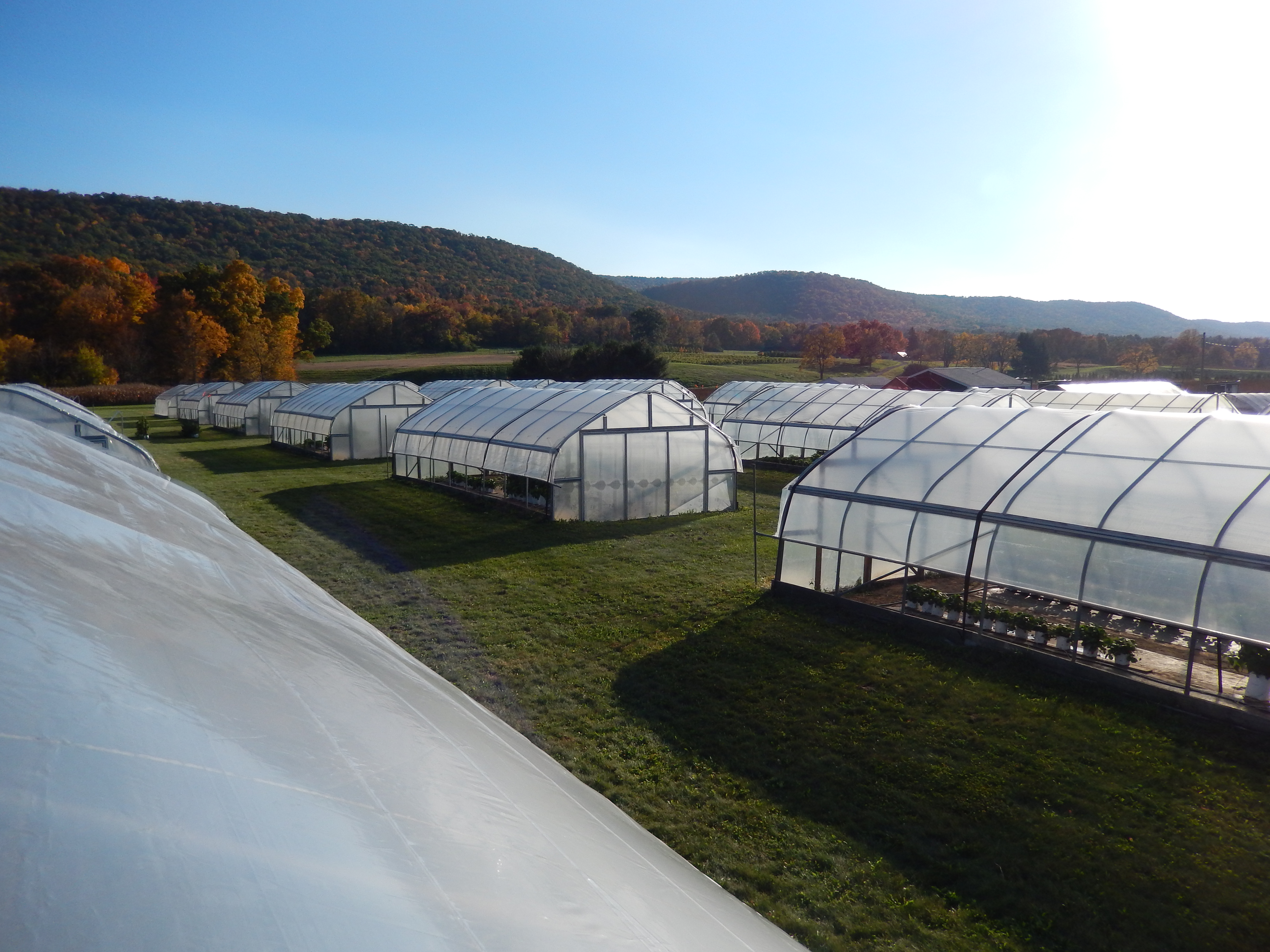 UV-blocking high-tunnel plastics research - Pennsylvania State University