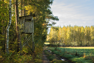 Beyond the Camo Shirt: Tips for Keeping Concealed in the Woods