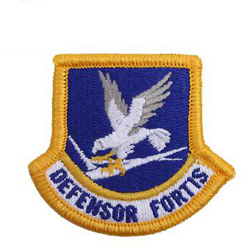 US Air Force Flash Patch - View