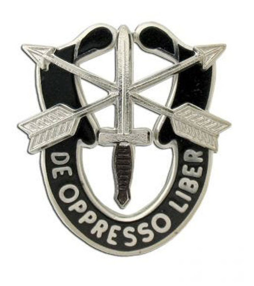 Special Forces Crest Pin - View