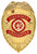 Deluxe Fire Department Badge - Gold View