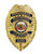 Deluxe Personal Protection Officer Badge - Gold View