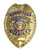 Deluxe Gold Security Enforcement Officer Badge - View