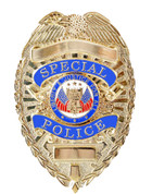 Deluxe Special Police Badge - Gold View