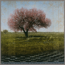 David Smith-Harrison