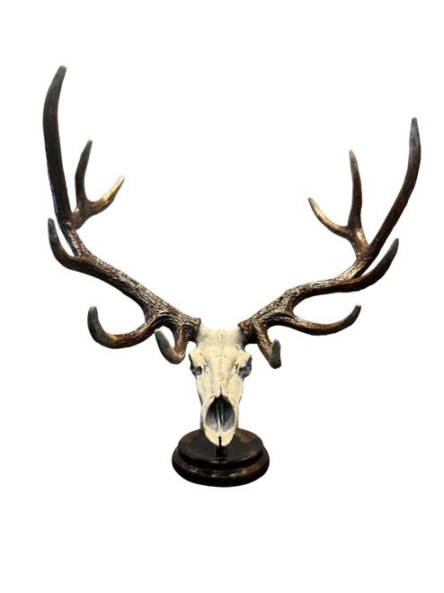 Elk Skull and Antlers