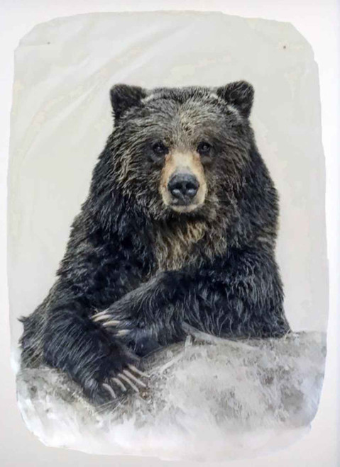 Bruno's Poker Face | DROP SHIP