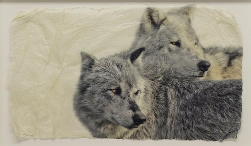 Last Look Back | Drop Ship