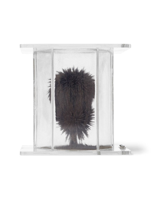 United Scientific® 3D Magnetic Field Demonstrator