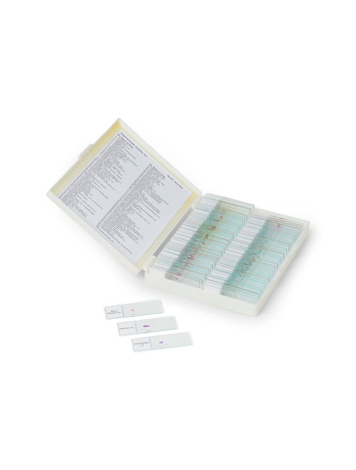 United Scientific® Basic Prepared Slide Set, 25 Slides