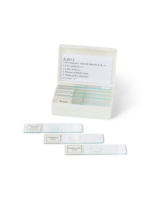 United Scientific® Biology Prepared Slide Set, 13 Slides