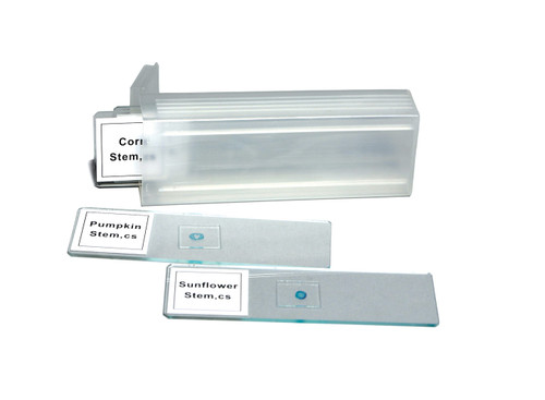 United Scientific® Prepared Slide Set, 4 Slides
