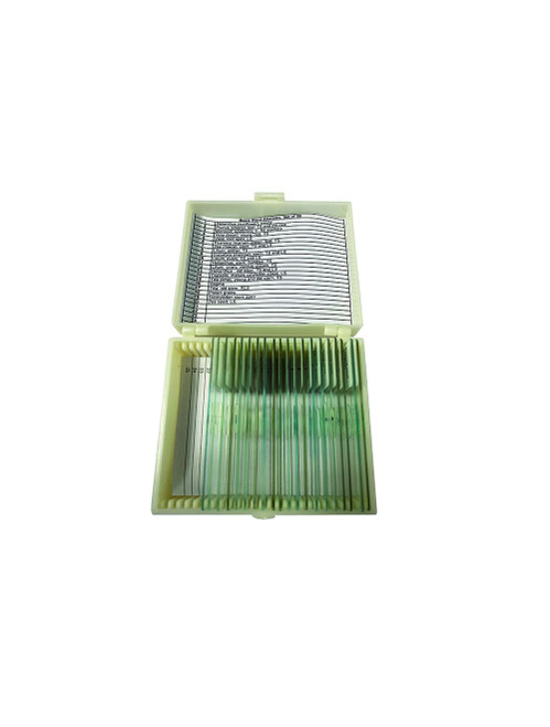 United Scientific® Basic Plant Anatomy Slide  Set Of 20