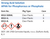 Strong Acid Solution APHA for Phosphorous or Phosphate Family Panel