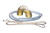 United Scientific® Flat Coiled Spring, 3" x 4"