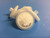 (PL)  Syringe Filter, Celluloseacetate, 25mm diameter, 0.2um, 100/pk