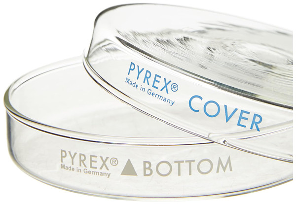 (3160-152) Corning PYREX® 150x20 mm Petri Dish with Cover, 12/PK