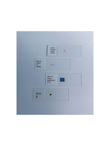 United Scientific® Monocot And Dicot Stem