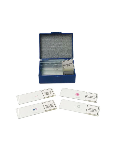 United Scientific® Biology Prepared Slide Set Of 14