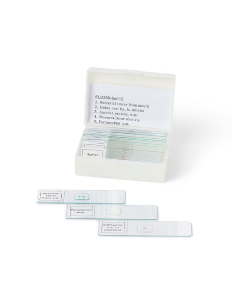 United Scientific® Biology Prepared Slide Set, 12 Slides