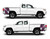 EXBUCKSKULL-7 Camouflage Truck Bed Graphic Decal Shown on Truck