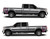 EXPUNISHCAMO-4 Silver Punisher Skull Camouflage Truck Bed Decals Shown on Truck