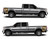 EXPUNISHCAMO-13 Gold Punisher Skull Camouflage Truck Bed Decals Shown on Truck