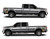 EXPUNISHCAMO-15 Silver Punisher Skull Camouflage Truck Bed Decals Shown on Truck