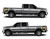 EXPUNISHCAMO-16 Gold Punisher Skull Camouflage Truck Bed Decals Shown on Truck