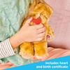 Casdon Build-A-Bear Furtastic Bear and Outift RAINBOW