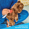 Casdon Build-A-Bear Furtastic Bear and Outfit ROCKET