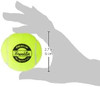 Ready Set Fetch! Tennis Ball 3 Pack with Squeaker