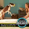 Ready Set Fetch! Tennis Ball 3 Pack with Squeaker