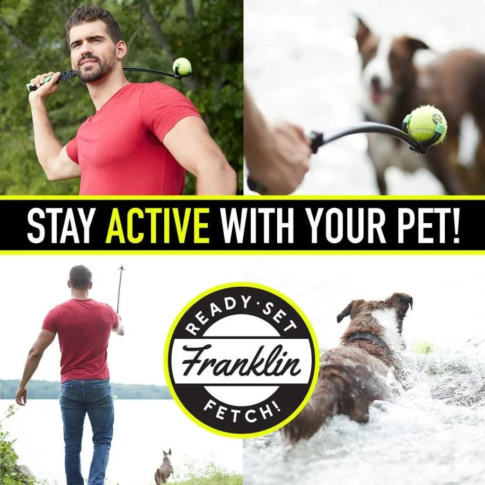 Ready Set Fetch Dog Ball Launcher