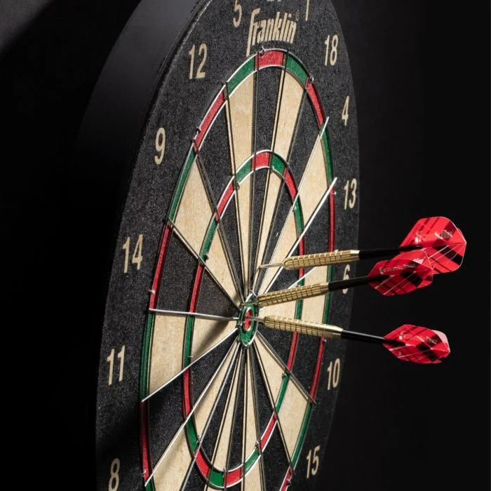 Pro Wire Dartboard
