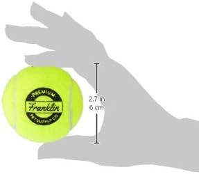 Ready Set Fetch! Tennis Ball 3 Pack with Squeaker